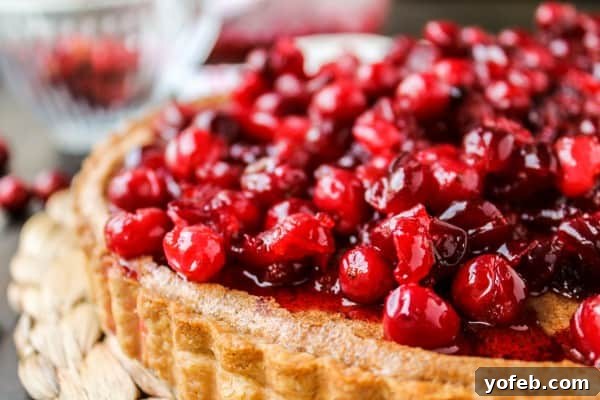 Nutty Brown Butter Cranberry Tart 5 A slice of cranberry tart, revealing the moist interior and a golden crust.