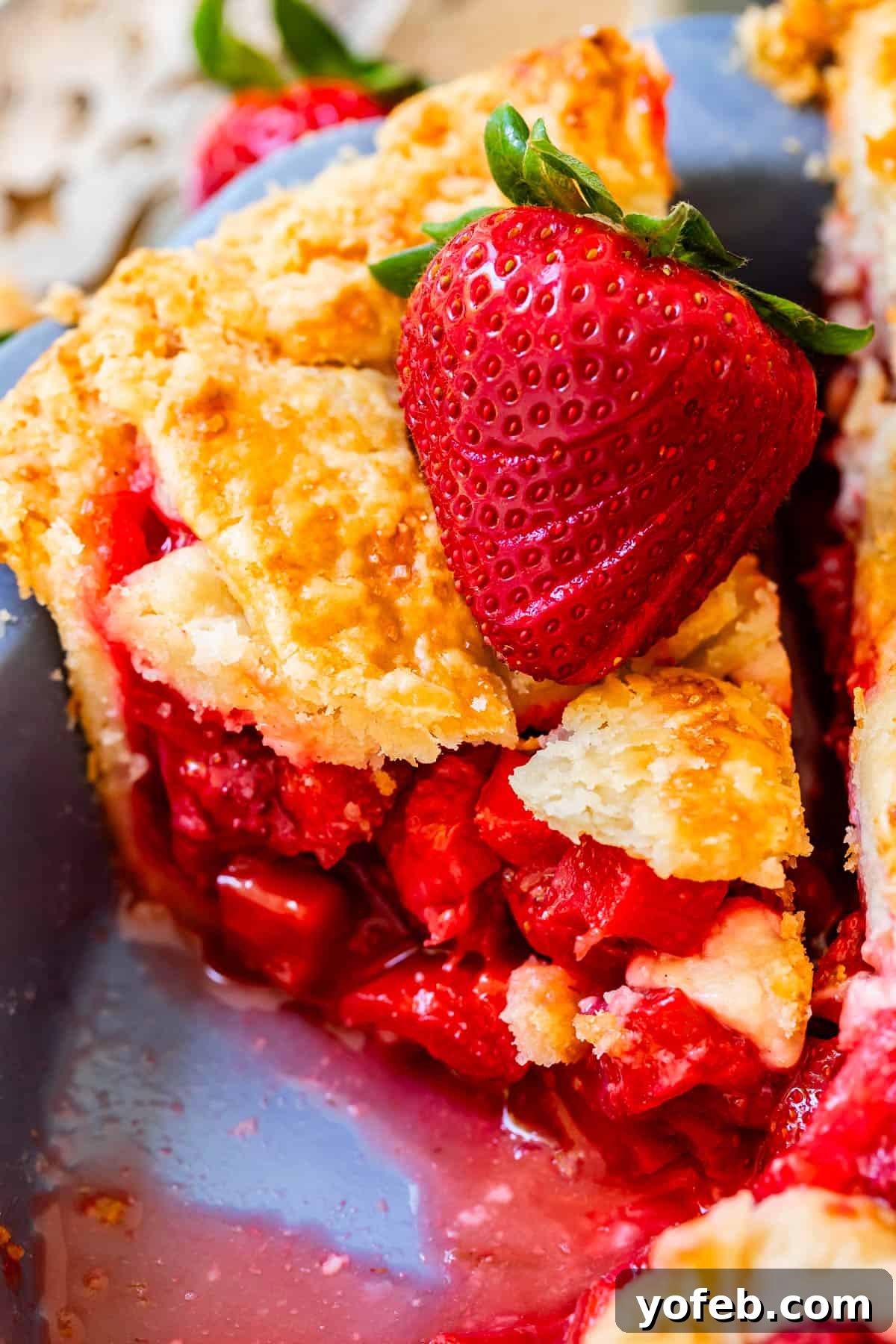 Summer's Sweet & Tart Strawberry Rhubarb Pie 10 piece of lattice crust strawberry and rhubarb pie with lots of filling and fresh strawberry garnish.