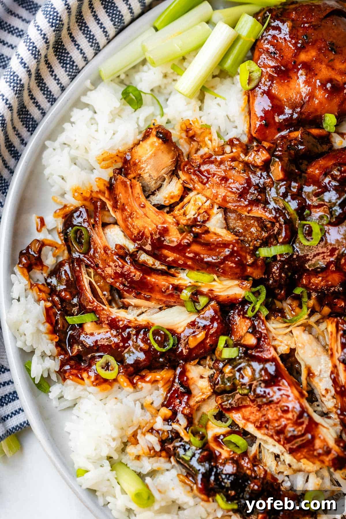 Easy Honey Garlic Chicken Slow Cooker Instant Pot 17 shredded honey garlic chicken over white rice and garnished with green onion.