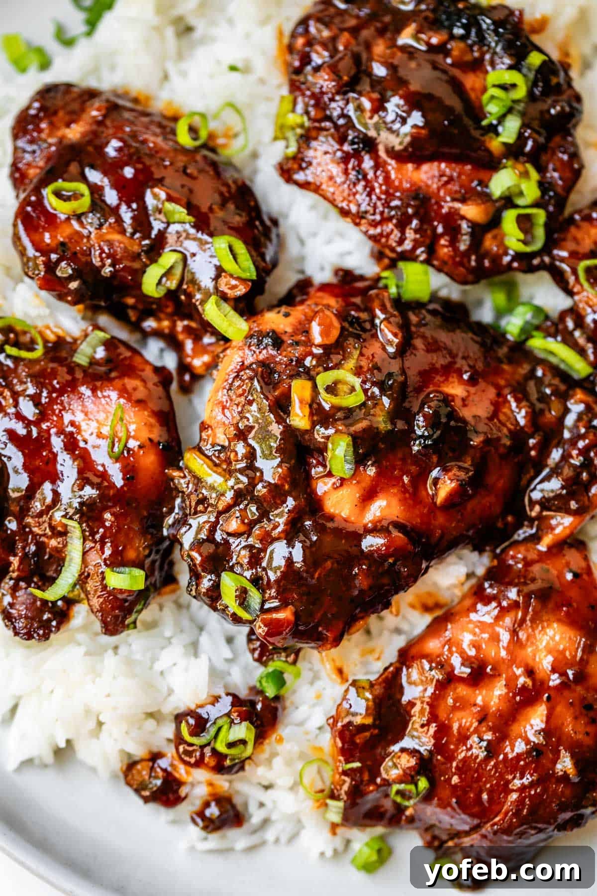 Easy Honey Garlic Chicken Slow Cooker Instant Pot 21 5 large chicken thighs in honey garlic sauce and green onion served over white rice.