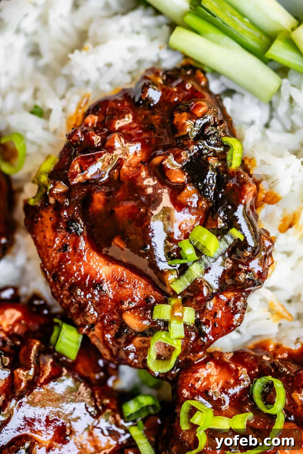 Easy Honey Garlic Chicken Slow Cooker Instant Pot 6 one chicken thigh in honey garlic sauce with green onion topping on top of white rice.
