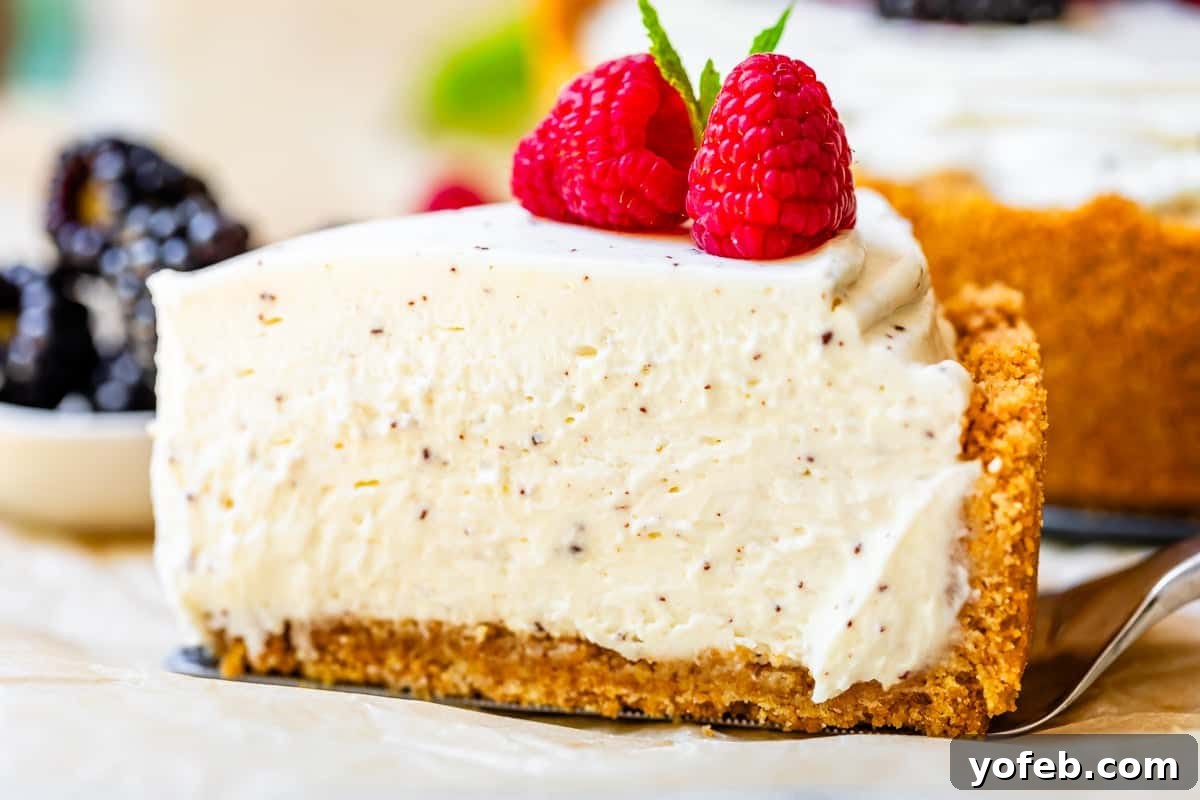 The Ultimate No Bake Cheesecake 13 slice of perfectly cut no bake cheesecake with two raspberries on top on pie server.
