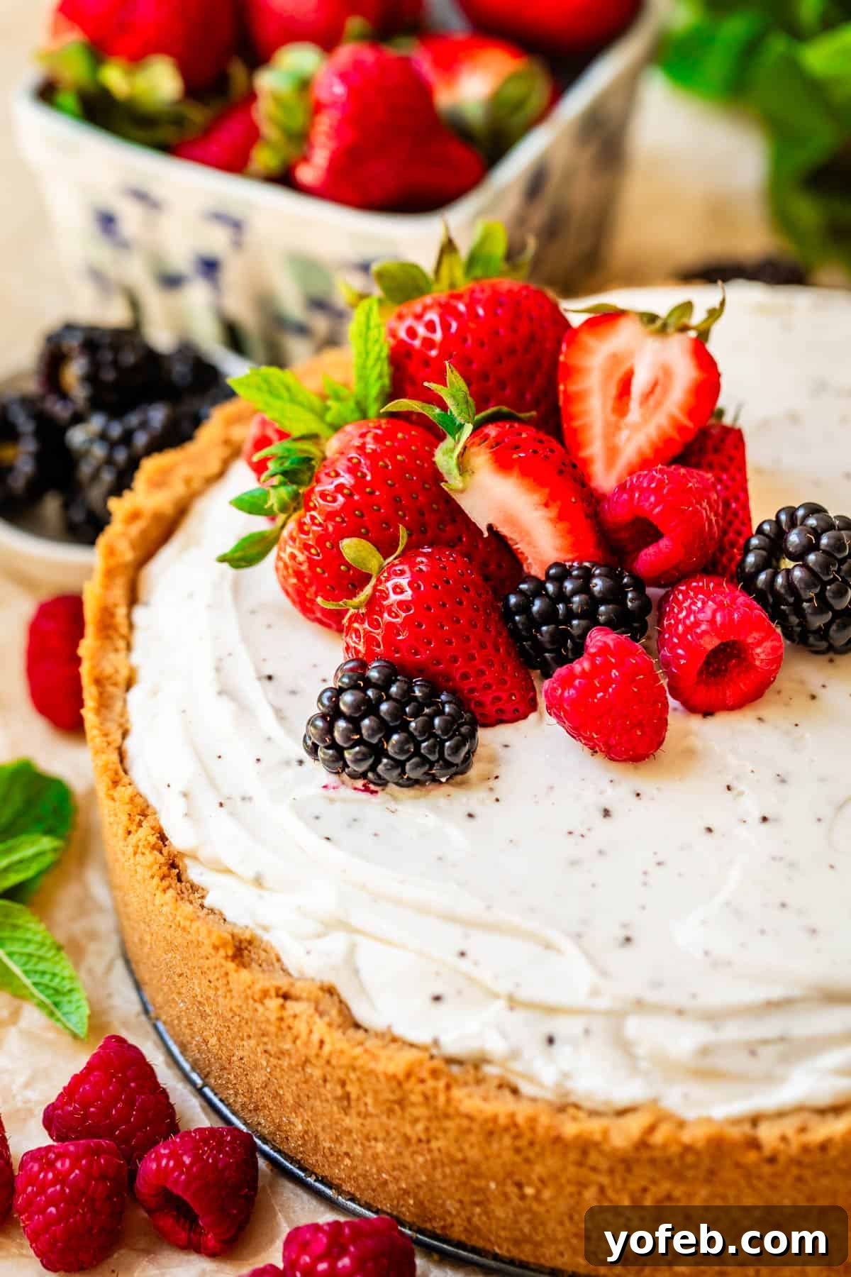 The Ultimate No Bake Cheesecake 3 a released, whole no bake cheesecake with fresh strawberry, blackberry, and raspberry garnish.