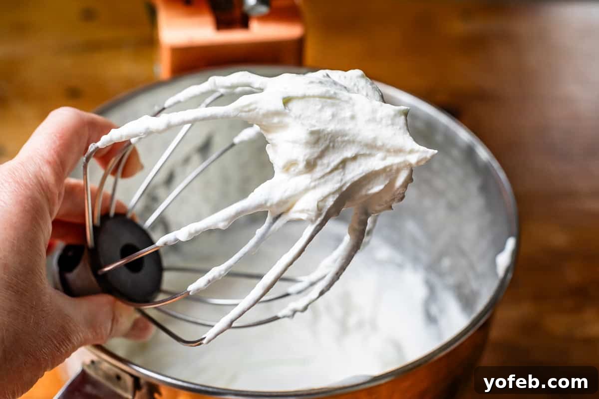 The Ultimate No Bake Cheesecake 24 stiff whipped cream on whish attachment with metal mixing bowl with whipped cream in background.