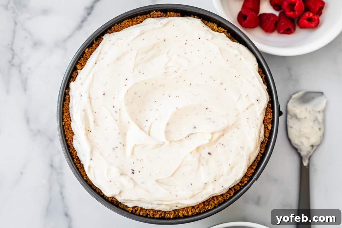 The Ultimate No Bake Cheesecake 29 a springform pan with no bake cheesecake, showing the crust on the edges and a smooth top.