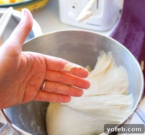 Sweet Fluffy Samoan Coconut Rolls 12 A hand gently lifting the soft, slightly sticky dough from the bowl.