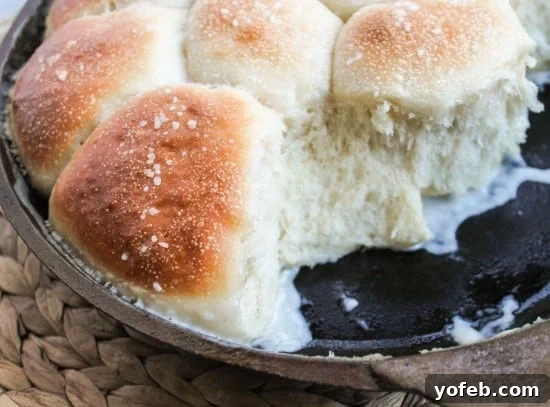 Sweet Fluffy Samoan Coconut Rolls 4 The soft dough for Samoan Coconut Rolls