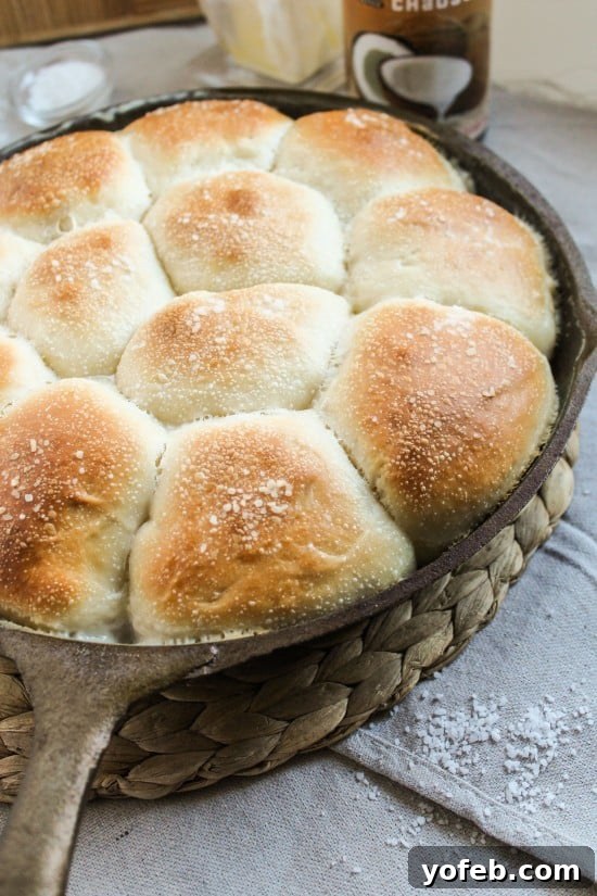 Sweet Fluffy Samoan Coconut Rolls 5 Close-up of Samoan Coconut Rolls, golden brown and glistening