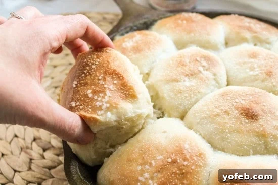Sweet Fluffy Samoan Coconut Rolls 7 Freshly baked Samoan Coconut Rolls, warm and ready to serve