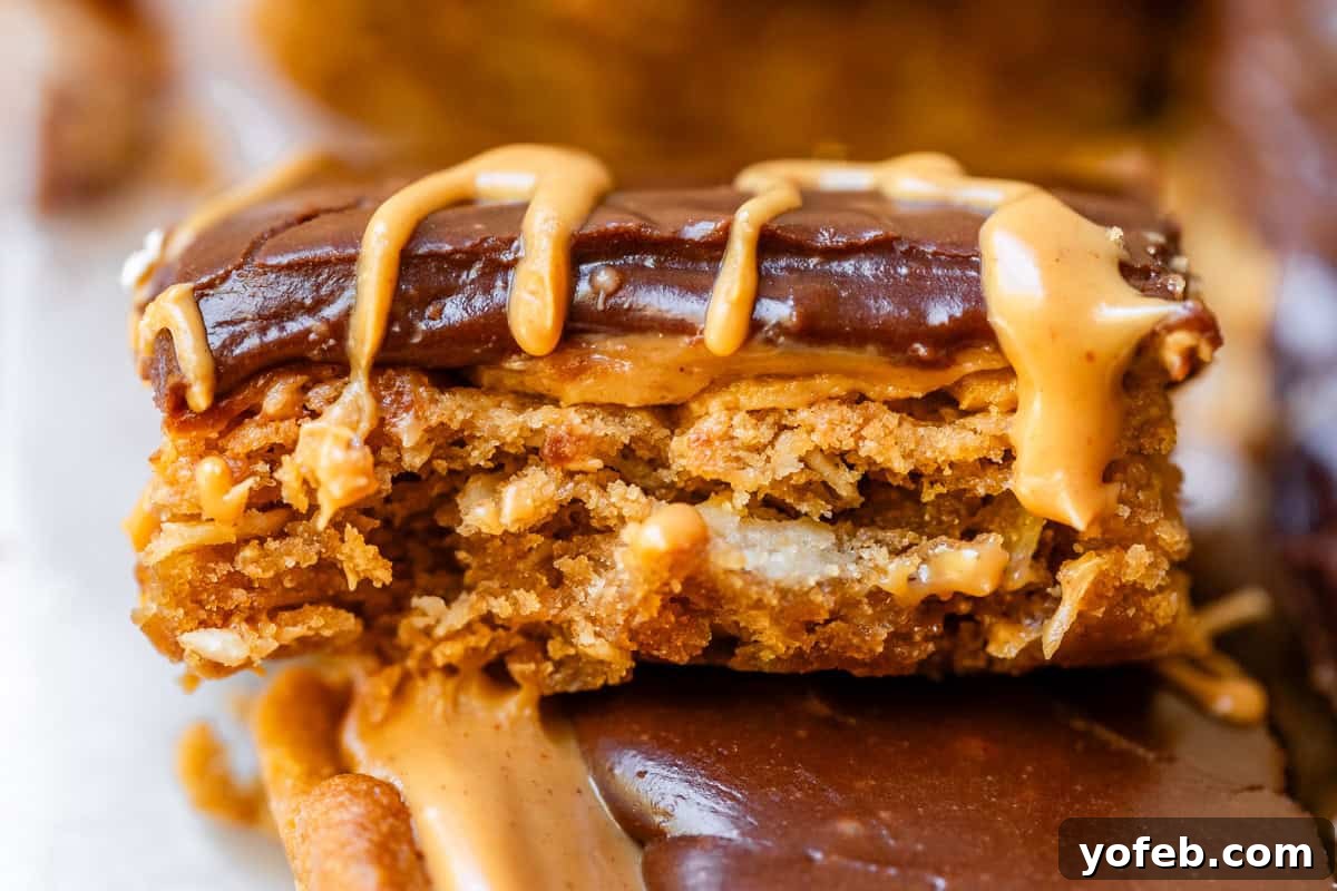 Classic Cafeteria Peanut Butter Bars 4 A delectable side view of a Lunch Lady Peanut Butter Bar, clearly displaying its distinct layers: the chewy oatmeal base, the rich peanut butter filling, and the smooth chocolate frosting, with a hint of drizzled peanut butter on top.