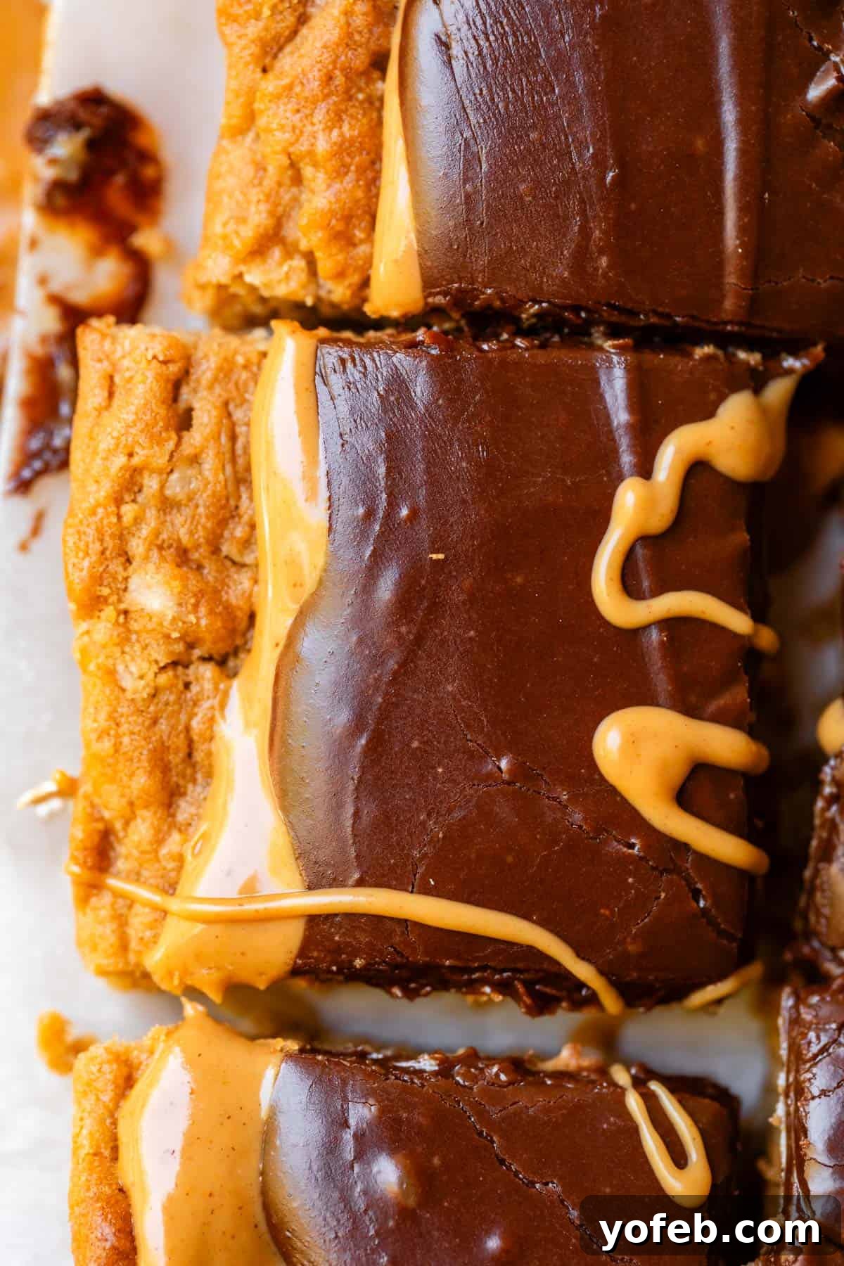 Classic Cafeteria Peanut Butter Bars 6 A close-up shot of a single square of a Lunch Lady Peanut Butter Cookie Bar, showcasing its distinct layers and the inviting texture of the chocolate frosting.
