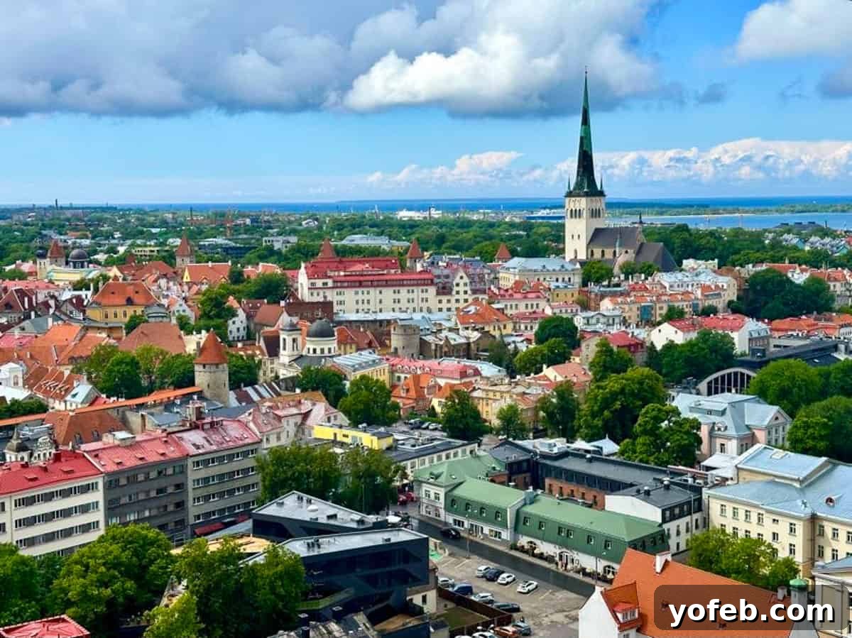 Unlock the Charm of the Baltics 2 Picturesque Baltic landscape with historic architecture and vibrant nature