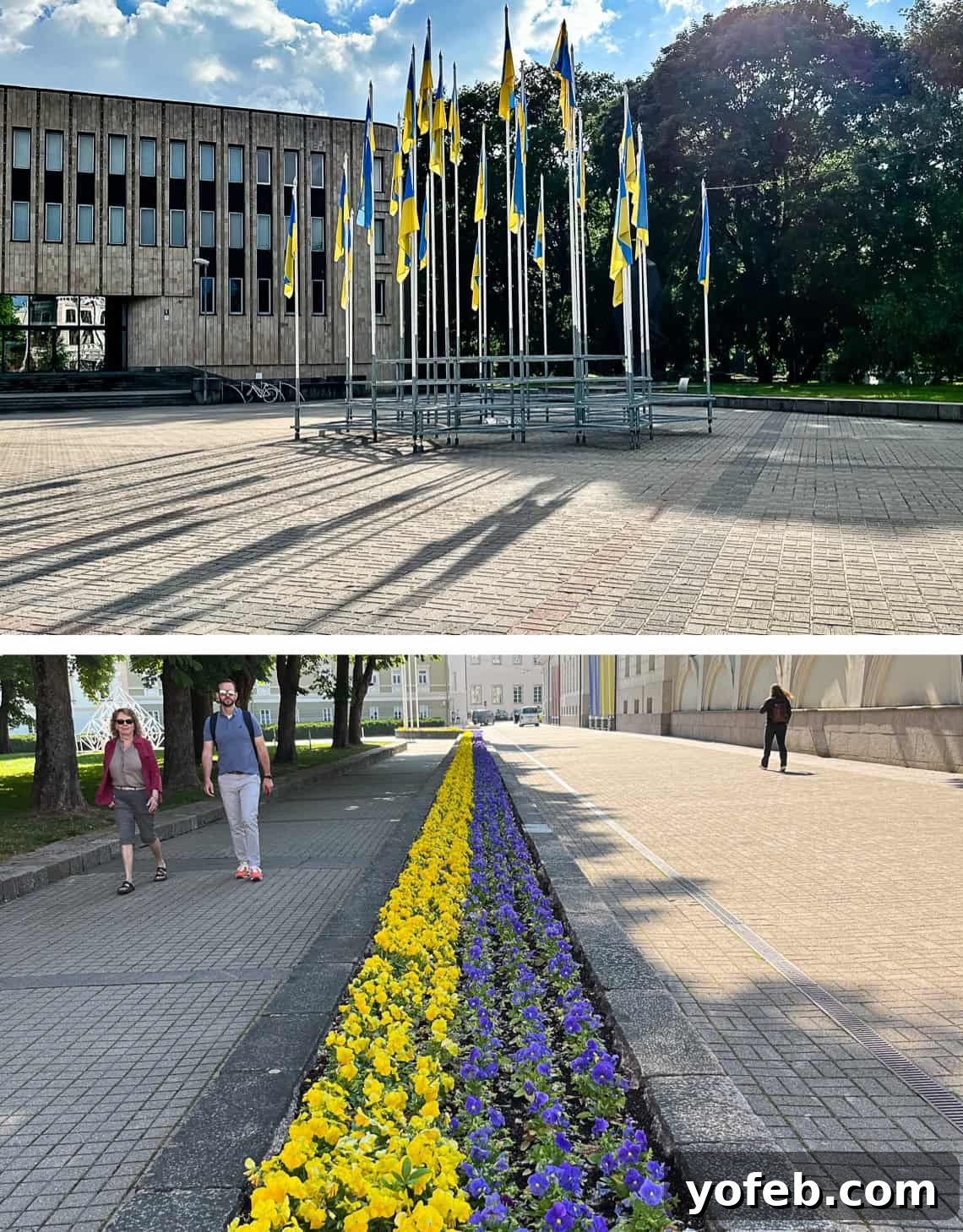 Unlock the Charm of the Baltics 43 Signs and symbols of unwavering support for Ukraine seen across the Baltics.