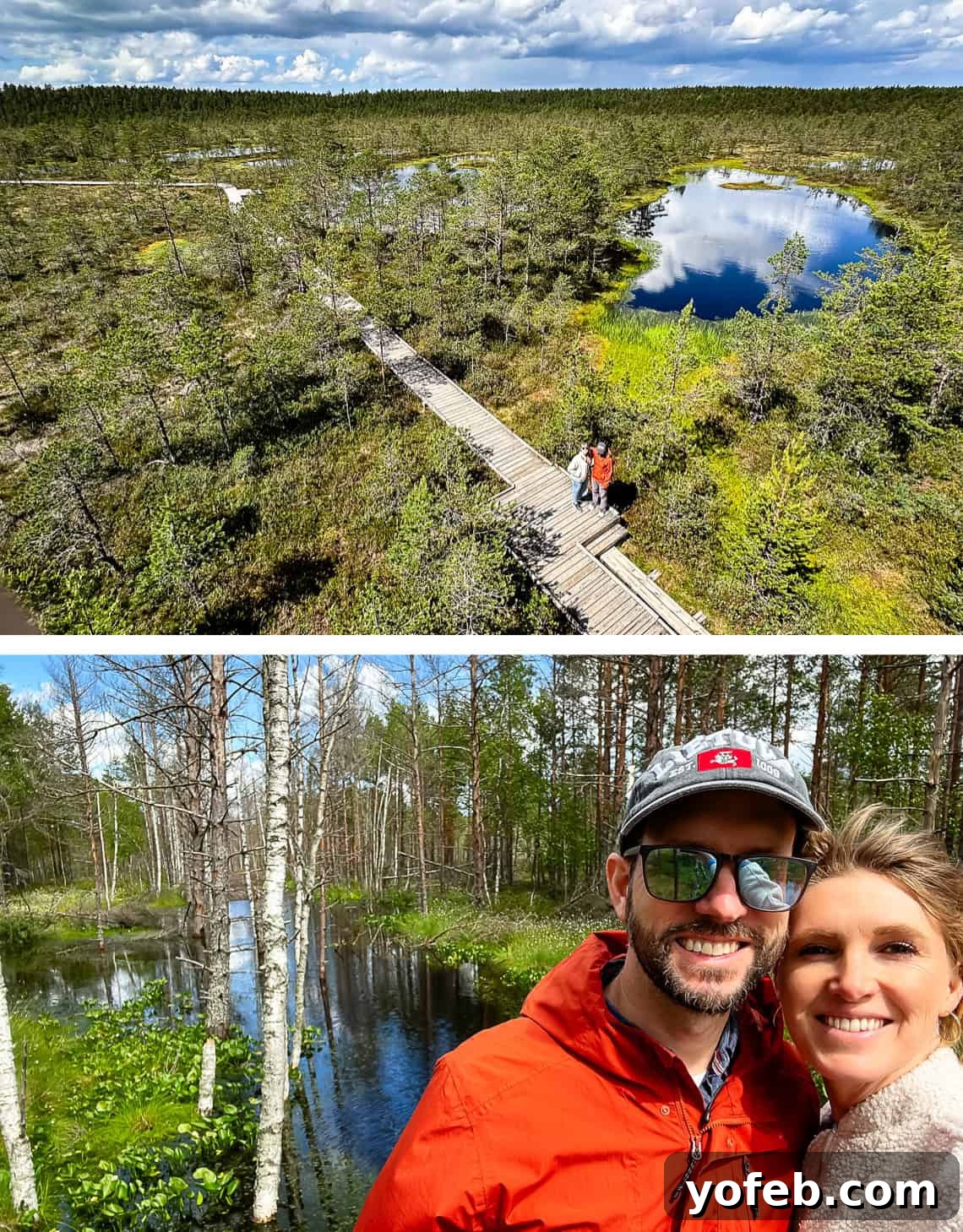 Unlock the Charm of the Baltics 63 Hiking through a serene and unique bog landscape in the Baltics.