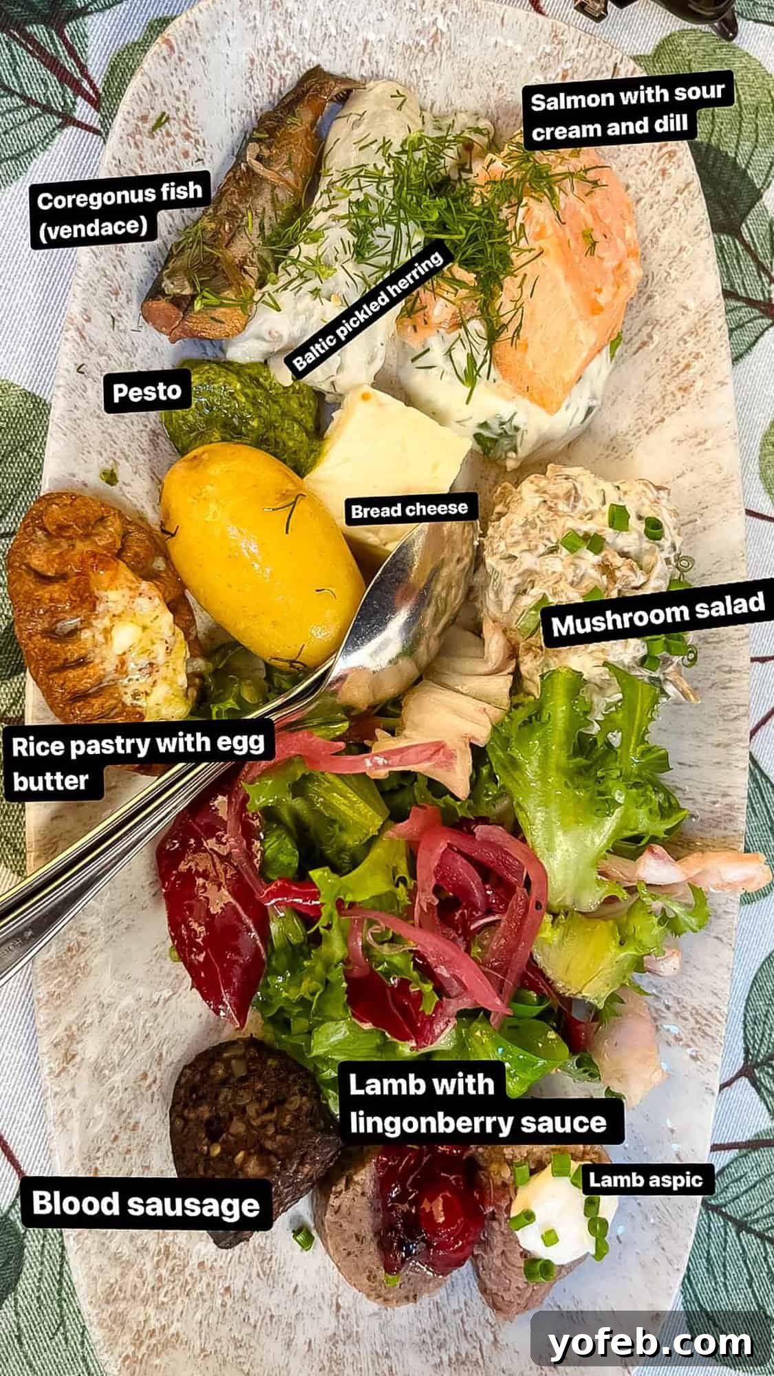 Unlock the Charm of the Baltics 9 A delectable plate of traditional Finnish appetizers, showcasing local culinary delights.