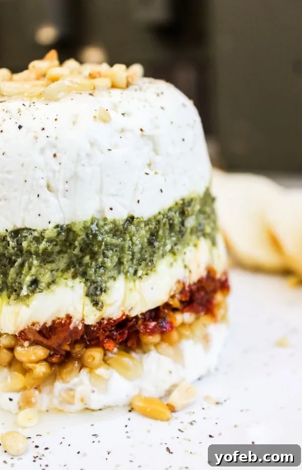 Aromatic Pesto and Tangy Chèvre Terrine with Sun-Dried Tomatoes 3 Close-up of Goat Cheese, Pesto, and Sun-Dried Tomato Terrine layers