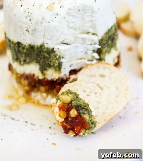 Aromatic Pesto and Tangy Chèvre Terrine with Sun-Dried Tomatoes 4 Goat Cheese Terrine with fresh basil and sun-dried tomatoes