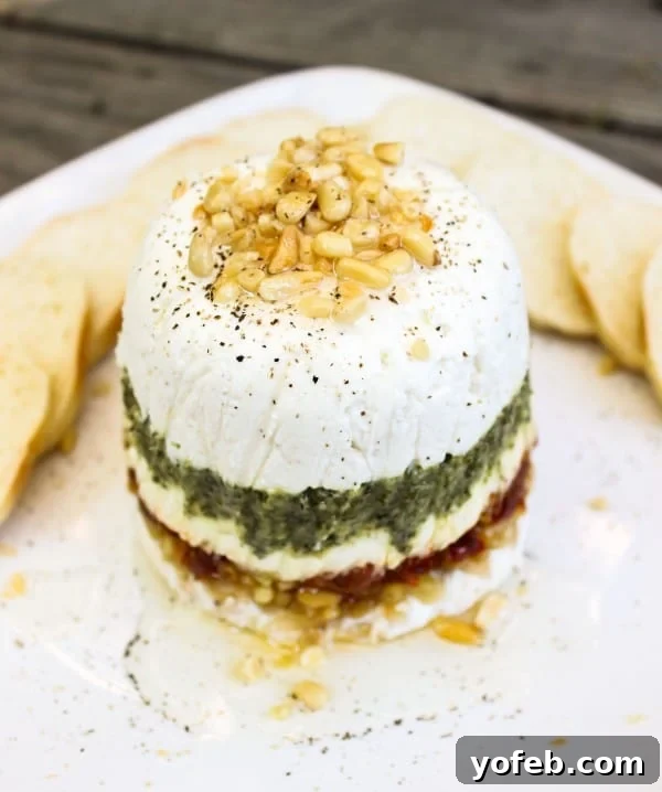 Aromatic Pesto and Tangy Chèvre Terrine with Sun-Dried Tomatoes 8 Goat Cheese, Pesto, and Sun-Dried Tomato Terrine garnished with fresh herbs