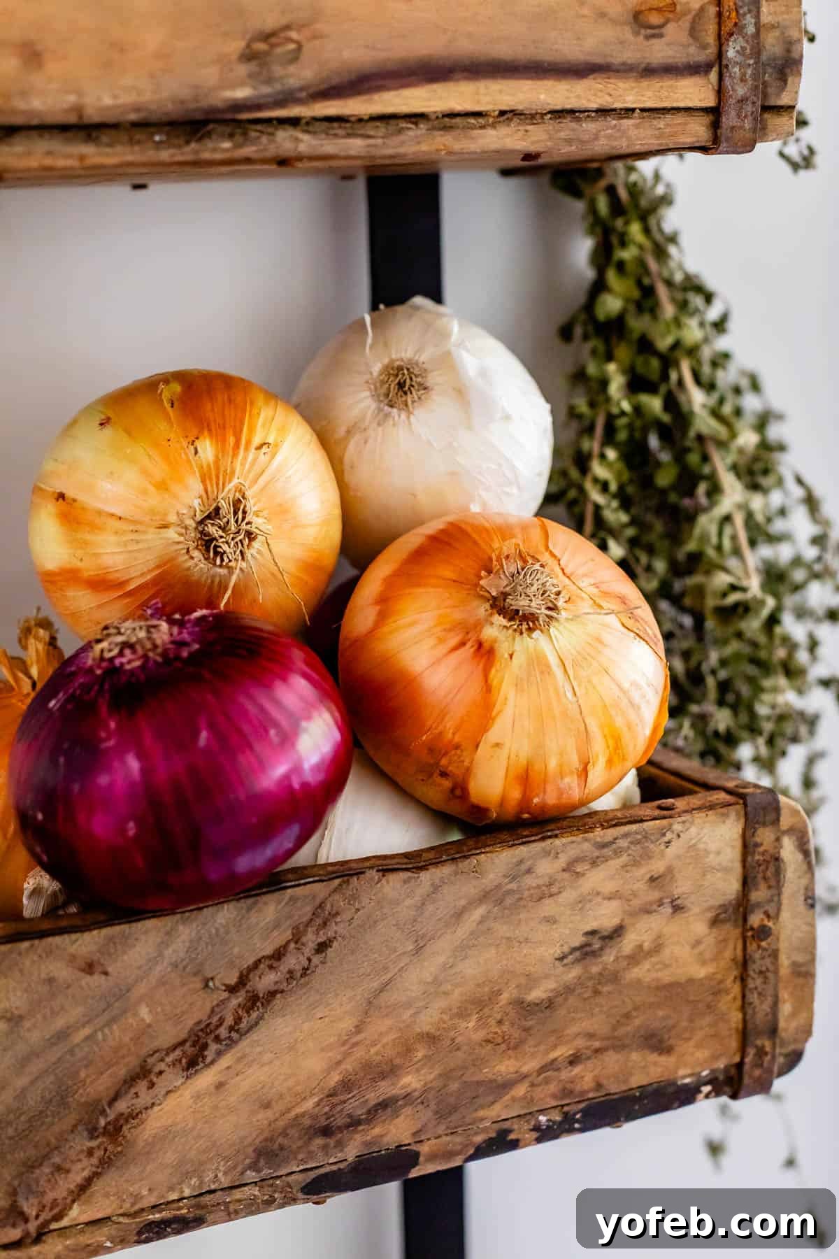 red, white, and yellow onions stacked in a basket on the wall with dried thyme hanging next to it.