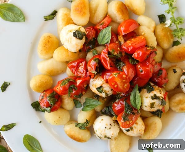 Sweet and Savory Caramelized Gnocchi with Blistered Tomatoes and Melted Mozzarella 3 Easy Caramelized Gnocchi with Cherry Tomatoes and Mozzarella