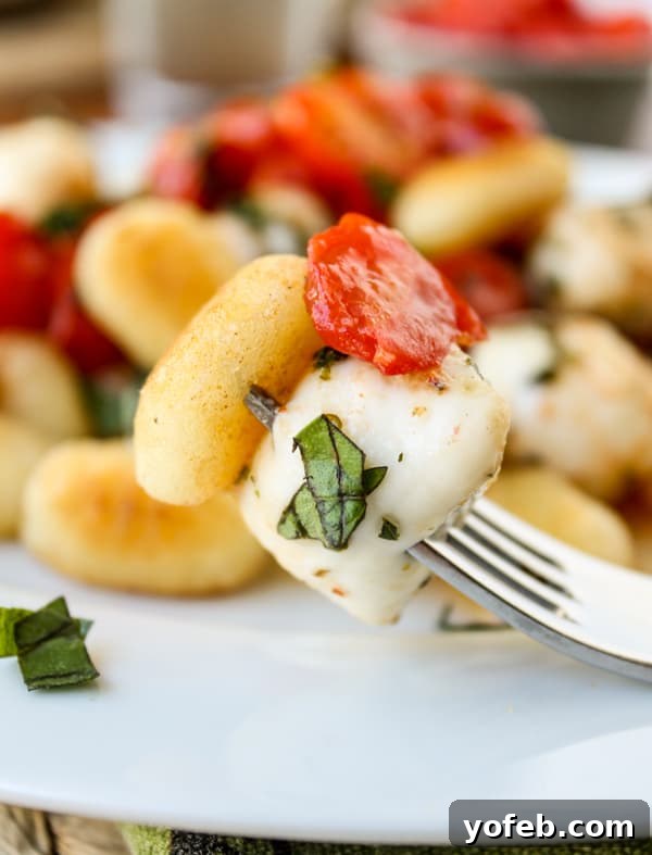Sweet and Savory Caramelized Gnocchi with Blistered Tomatoes and Melted Mozzarella 4 Easy Caramelized Gnocchi with Cherry Tomatoes and Mozzarella
