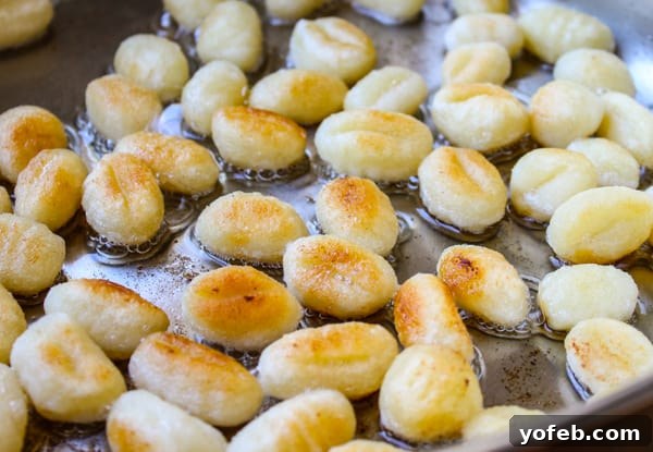 Sweet and Savory Caramelized Gnocchi with Blistered Tomatoes and Melted Mozzarella 6 Easy Caramelized Gnocchi with Cherry Tomatoes and Mozzarella