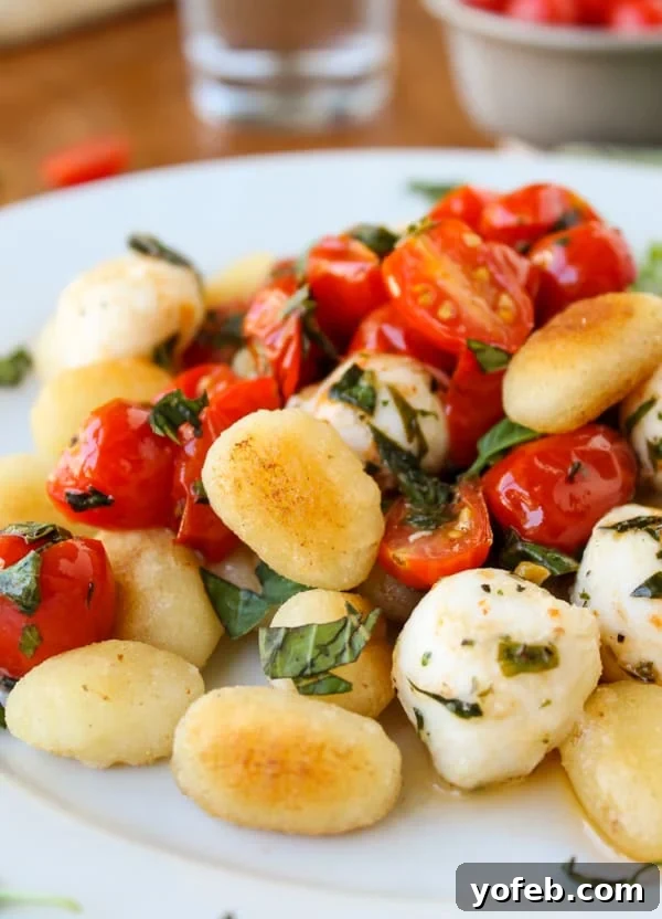 Sweet and Savory Caramelized Gnocchi with Blistered Tomatoes and Melted Mozzarella 7 Easy Caramelized Gnocchi with Cherry Tomatoes and Mozzarella