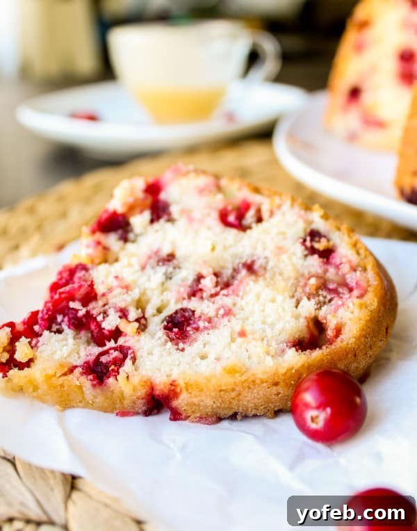 Warm Vanilla Butter Drizzled Cranberry Cake 2 Moist Cranberry Cake with Golden Brown Crust and Warm Vanilla Butter Sauce Drizzled Over