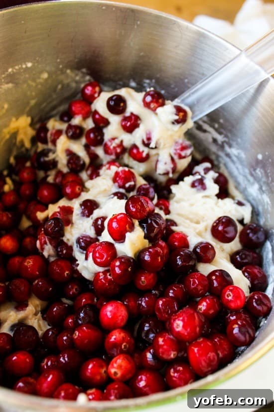 Warm Vanilla Butter Drizzled Cranberry Cake 3 Close-up of a slice of Cranberry Cake revealing its moist texture and vibrant cranberries