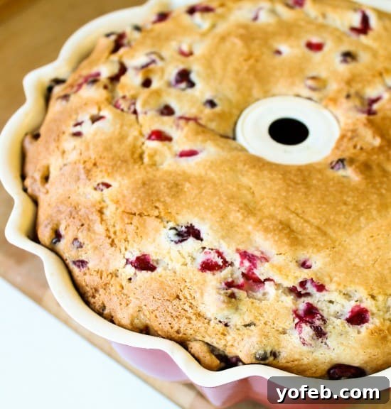 Warm Vanilla Butter Drizzled Cranberry Cake 4 Bundt Cranberry Cake cooling on a wire rack, ready for the warm vanilla butter sauce