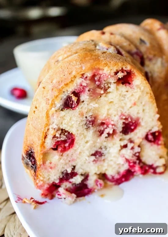 Warm Vanilla Butter Drizzled Cranberry Cake 6 A beautiful slice of Cranberry Cake drenched in warm vanilla butter sauce