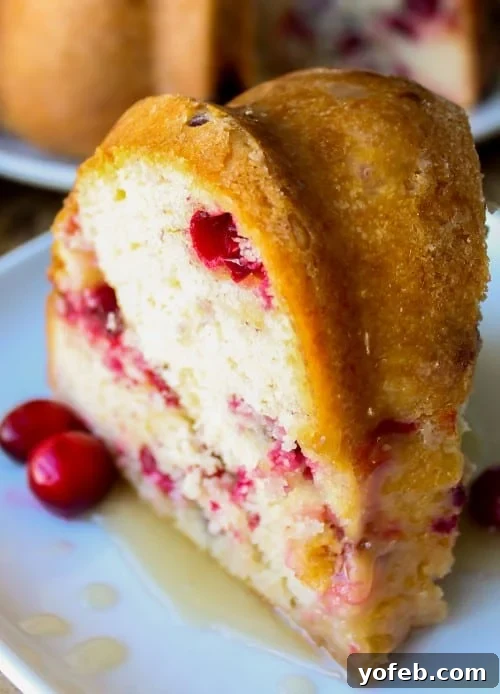 Warm Vanilla Butter Drizzled Cranberry Cake 7 A close-up shot of the Cranberry Cake, showcasing its texture and the glistening butter sauce