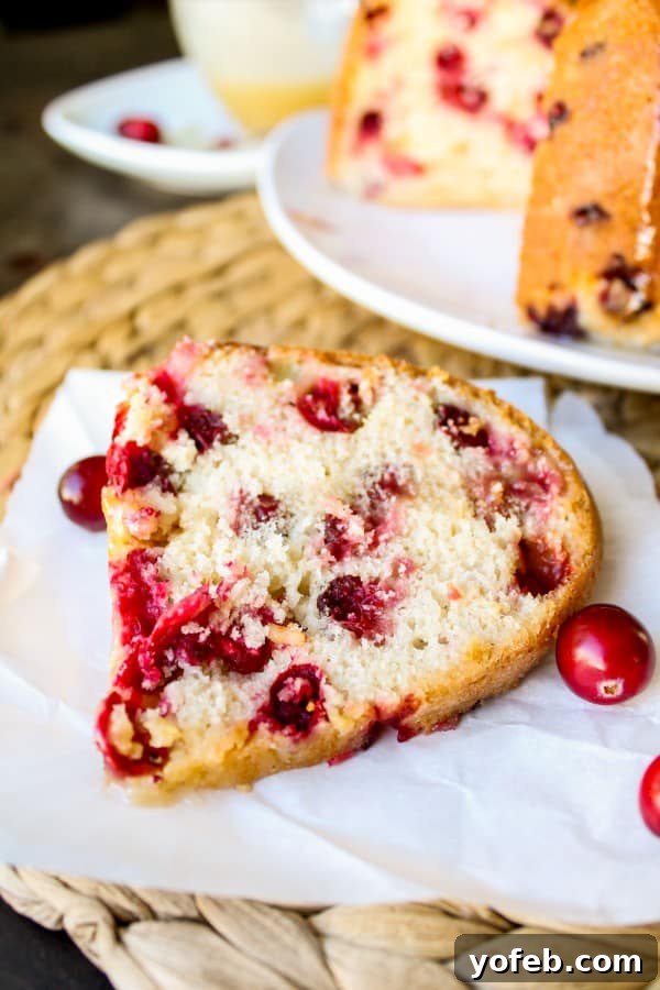 Cranberry Cake with Warm Vanilla Butter Sauce - hero shot