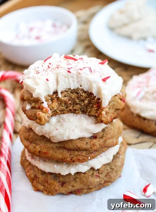 Peppermint Molasses Wonders 2 Delightful Candy Lasses (Molasses Cookies with Peppermint) - Top View
