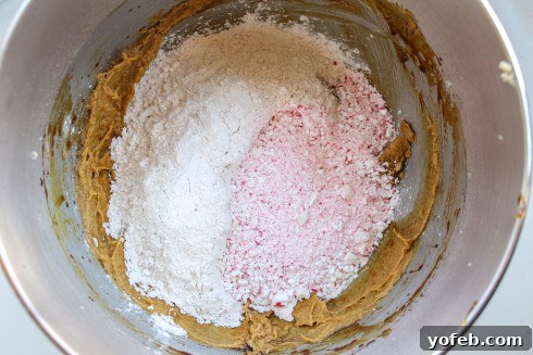 Adding crushed candy canes and dry ingredients to cookie batter