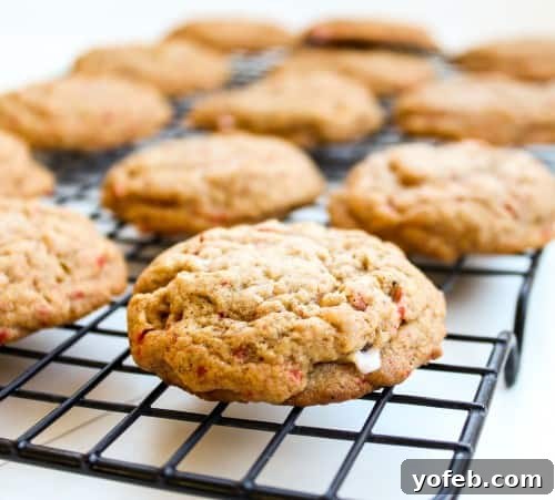 Freshly baked Molasses Peppermint Cookies out of the oven