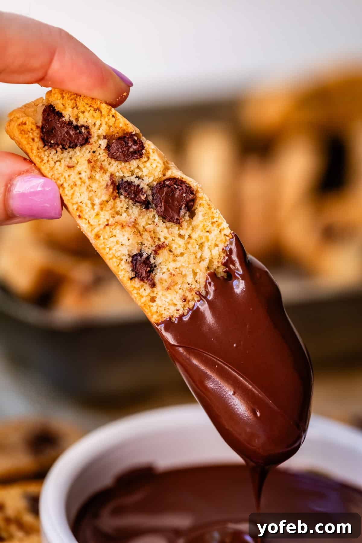 The Biscotti That Will Change Your Mind 16 A finger and thumb delicately dipping a baked biscotti cookie into a swirl of rich, melted chocolate, showing its full potential.