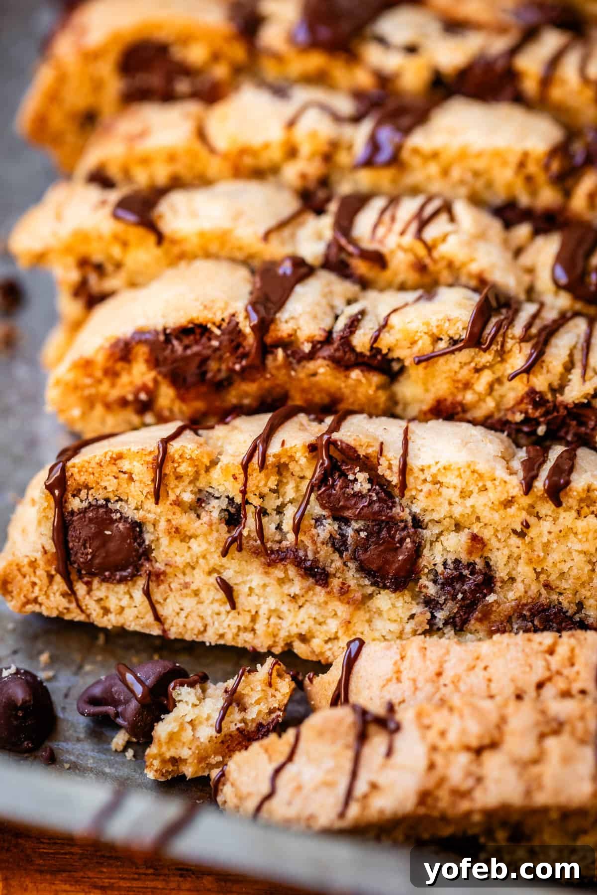 The Biscotti That Will Change Your Mind 17 An array of chocolate-drizzled biscotti cookies resting on a cool metal baking sheet, perfectly crisp and ready to be enjoyed.