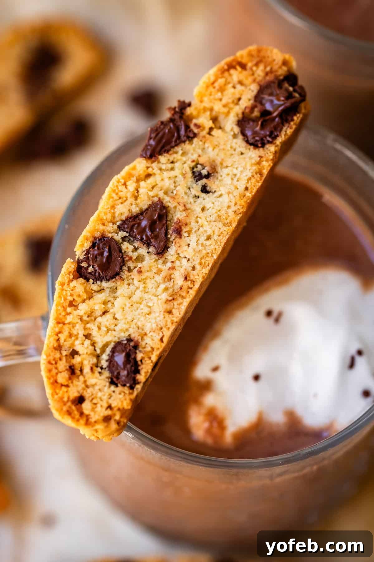 The Biscotti That Will Change Your Mind 20 A perfectly baked biscotti cookie, adorned with chocolate chips, elegantly balanced on the rim of a steaming mug of hot cocoa, inviting a delightful dip.