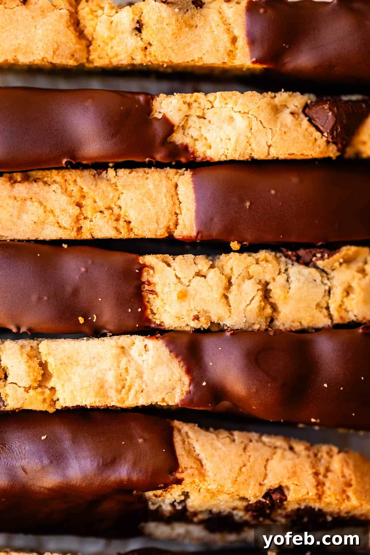 The Biscotti That Will Change Your Mind 7 A top-down view of several elegant biscotti cookies, each featuring one end lavishly dipped in smooth, dark chocolate.