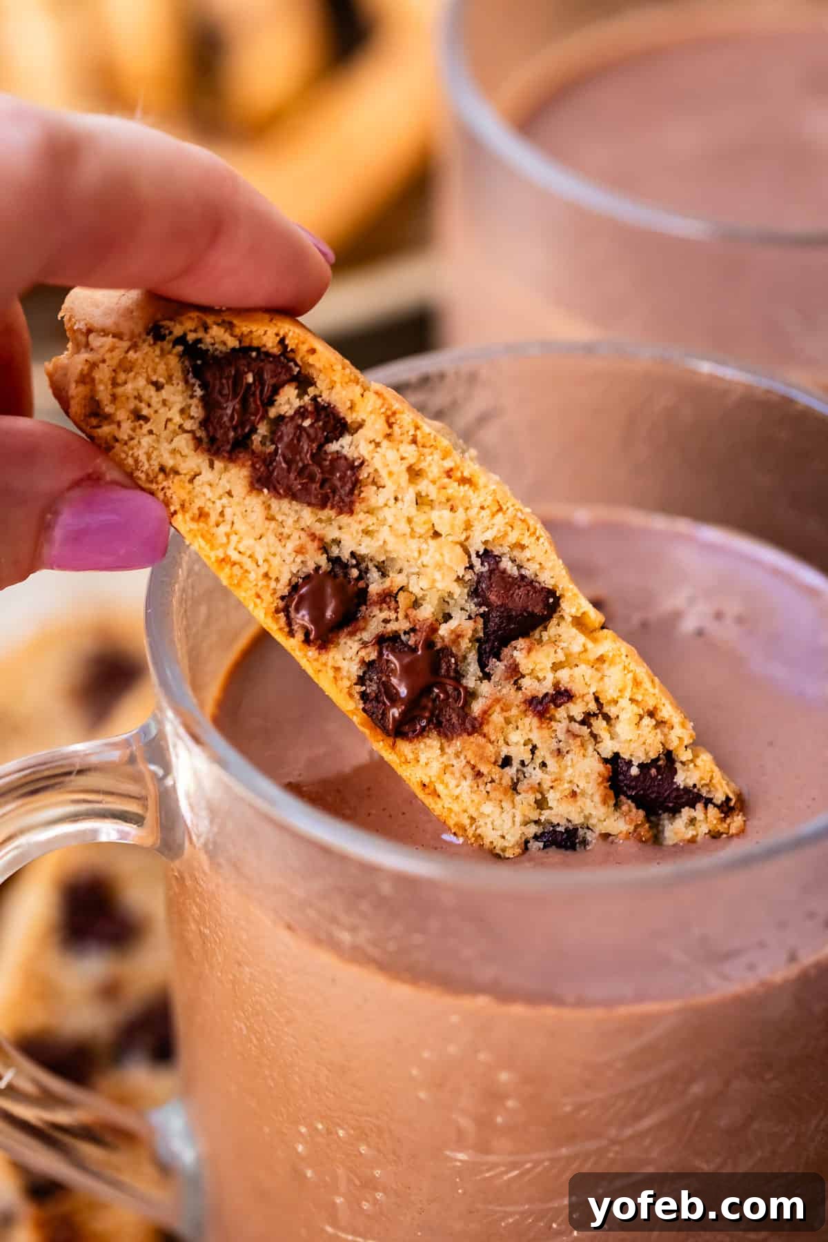 The Biscotti That Will Change Your Mind 8 A delightful moment captured: a hand gently dipping a chocolate chip biscotti into a cozy glass mug of steaming hot cocoa.