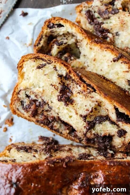 The Ultimate Chocolate Babka Recipe 2 Slices of delectable chocolate babka, showcasing its beautiful layers.