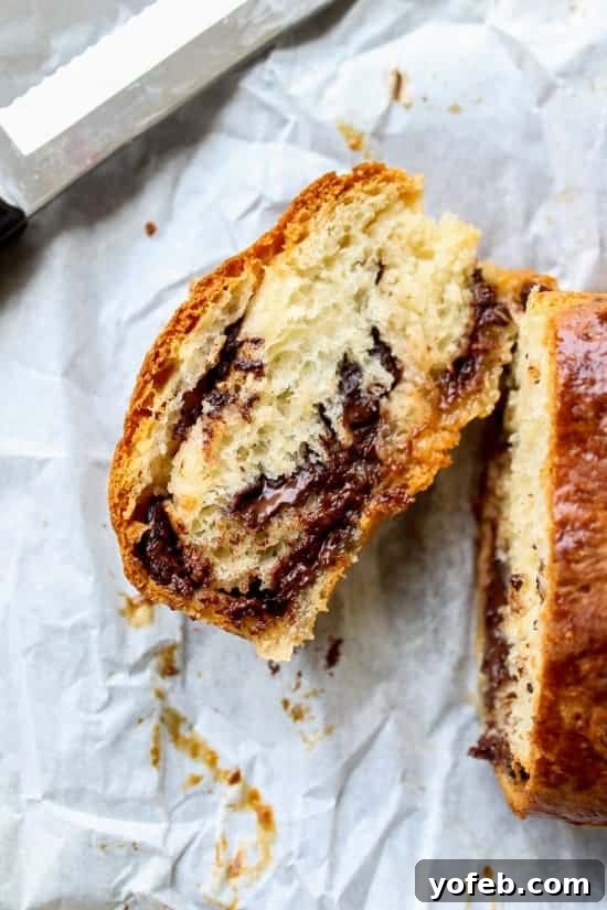 The Ultimate Chocolate Babka Recipe 7 Close-up of a chocolate babka slice, showcasing its rich filling.