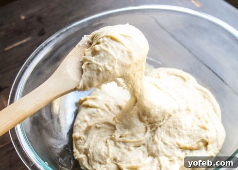 The Ultimate Chocolate Babka Recipe 8 Soft chocolate babka dough in a bowl, after first rise.