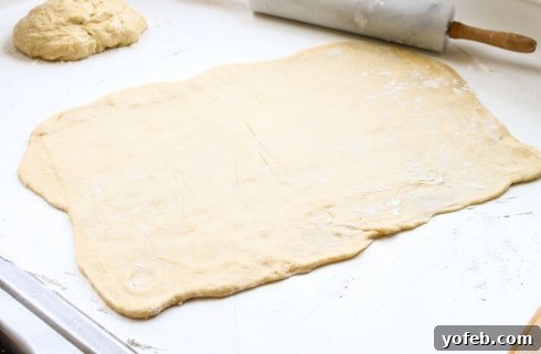 The Ultimate Chocolate Babka Recipe 10 Rolled out babka dough ready for filling.