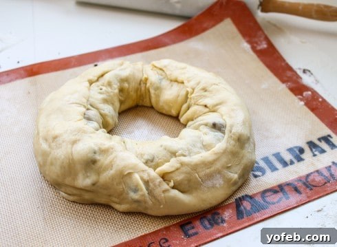 The Ultimate Chocolate Babka Recipe 14 Rolled babka dough, formed into a ring.
