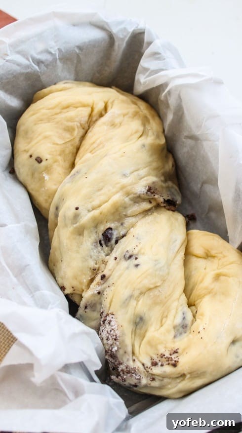 The Ultimate Chocolate Babka Recipe 15 Twisted babka dough in a double figure 8 shape.