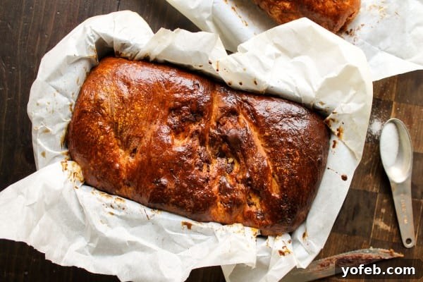 The Ultimate Chocolate Babka Recipe 16 A freshly baked loaf of chocolate babka, golden brown.