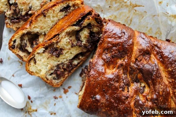 The Ultimate Chocolate Babka Recipe 3 Luscious chocolate babka on parchment paper, ready to be devoured.