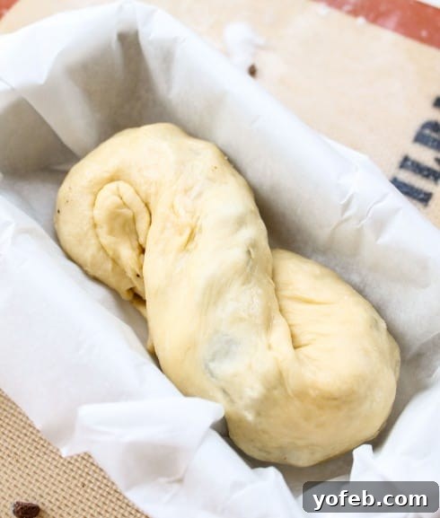 The Ultimate Chocolate Babka Recipe 18 Single-twisted mini chocolate babka.